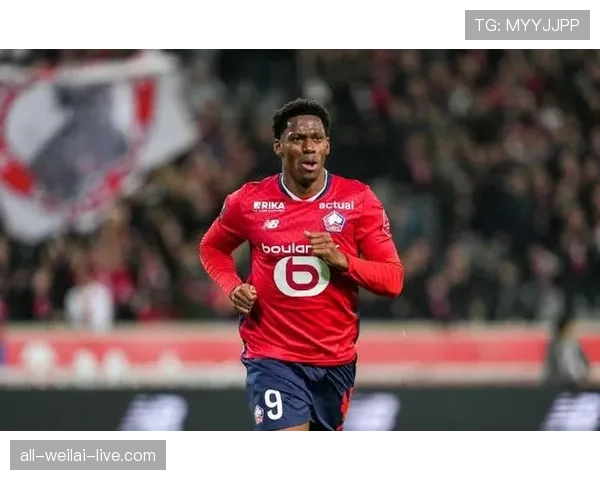 乔纳森·戴维爆发赛季的数据表现与战术角色深度解析