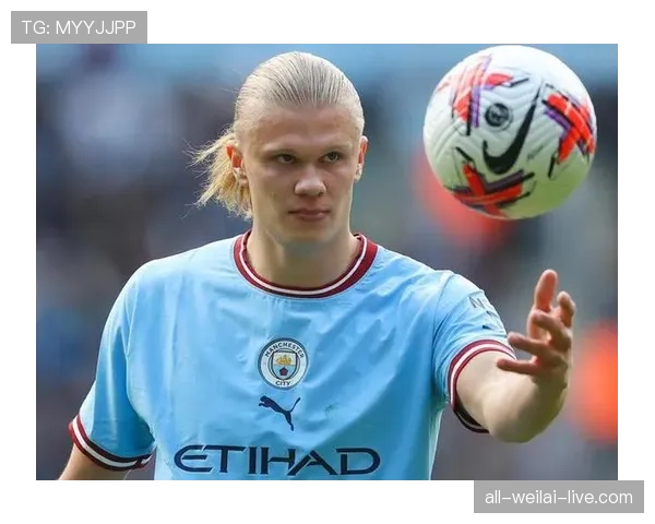 哈兰德冰箱里只放蛋白粉和冰块